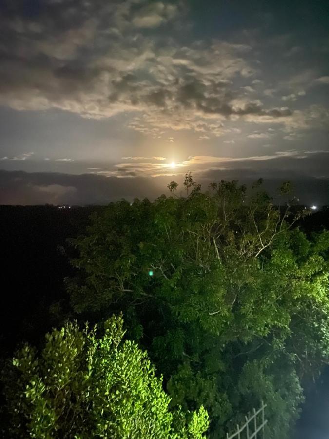 Round The Bend Apartment Wilderness Ngoại thất bức ảnh